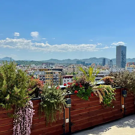 Premium Penthouse 